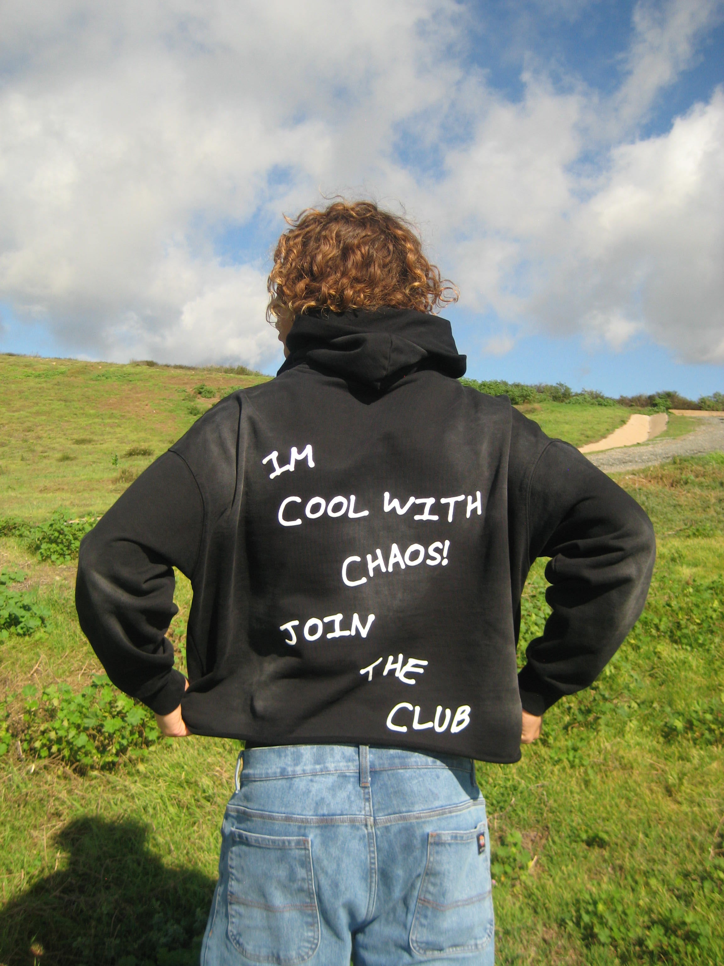 COOL WITH CHAOS CROPPED HOODIE